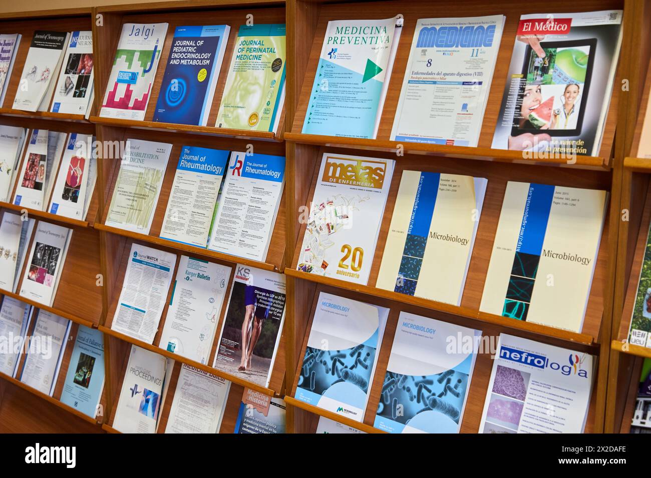 Dr Eisen Liang’s Research and Publications